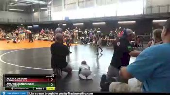62 lbs Round 1 (10 Team) - ALAINA GILBERT, Alabama Elite Gold vs Ava Westenbarger, Alpha Elite