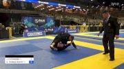 JEFFREY H STANDISH vs DYLAN THOMAS SMITH 2024 Pan Jiu Jitsu IBJJF Championship