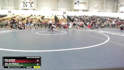 58 lbs 3rd Place Match - Nolan Neglia, Revolution Elite Wrestling vs Mia Barro, Club Not Listed