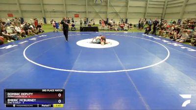 113 lbs Placement Matches (8 Team) - Dominic Deputy, Pennsylvania Blue vs Emeric McBurney, Ohio Scarlet