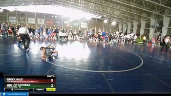 74 lbs Champ Round 1 (16 Team) - Brock Gale, Sanderson Wrestling Academy vs Tristan Guarnes, Mat Demons