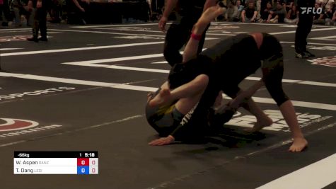 William Aspen vs Tu Dang 2024 ADCC North American Trials 2