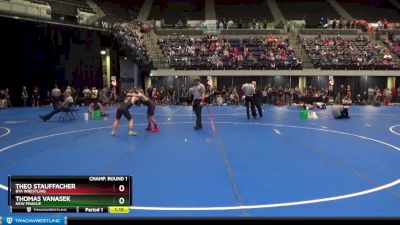 110 lbs Champ. Round 1 - Theo Stauffacher, BYA Wrestling vs Thomas Vanasek, New Prague