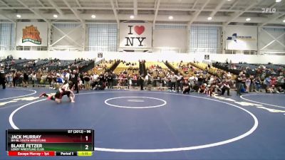 96 lbs Champ. Round 2 - Jack Murray, BH-BL Youth Wrestling vs Blake Fetzer, LeRoy Wrestling Club