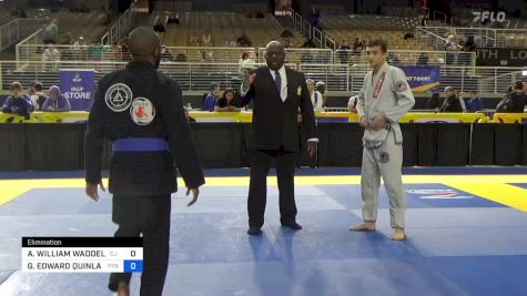 AARON WILLIAM WADDELL LLL vs GAVIN EDWARD QUINLAN 2024 Pan Jiu Jitsu IBJJF Championship