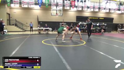 170 lbs Cons. Round 2 - Joe Pestotnik, Iowa vs Mario Hamm, Ubasa Wrestling Academy