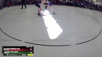 118 lbs Quarterfinal - Ellison Berkeland, Nebraska vs Jordan Williams, Nebraska