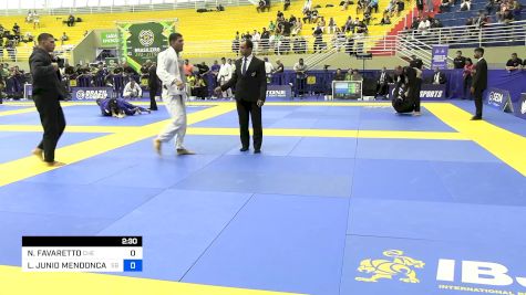 NICHOLAS FAVARETTO vs LAFAYETTE JUNIO MENDONCA PINHEIR 2024 Brasileiro Jiu-Jitsu IBJJF