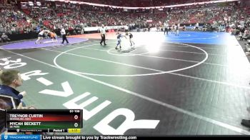 D1-106 lbs Quarterfinal - Mycah Beckett, De Pere vs Treynor Curtin, Reedsburg Area