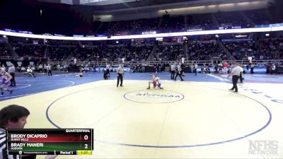 I-101 lbs Quarterfinal - Brody Dicaprio, Burnt Hills vs Brady Maneri, Auburn