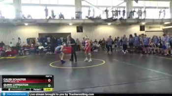 97 lbs Quarters & 1st Wb (16 Team) - Caleb Schaefer, Indiana Gold vs Quinn Livingston, Oklahoma Blue