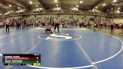 50 lbs Semifinal - Henry Hoffmann, Bonhomme Wrestling-AAA  vs Gabriel Roark, Pleasant Hill Youth Wrestling Club-AAA