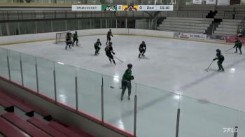 Replay: Home - 2024 TC Thunder vs Jr. Bruins | Mar 15 @ 12 PM