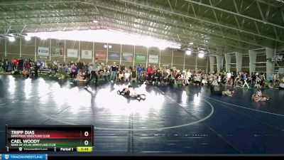 49 lbs Quarterfinal - Tripp Dias, Shootbox Wrestling Club vs Cael Woody, Sons Of Atlas Wrestling Club