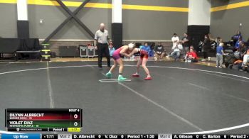 91 lbs Round 2 (4 Team) - Dilynn Albrecht, Badger Girls vs Violet Diaz, FEWTeamIA Purple