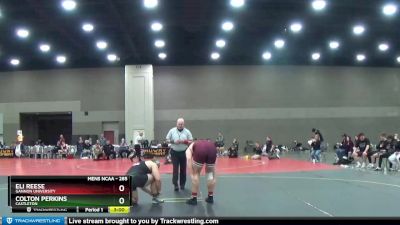 285 lbs Cons. Round 4 - Colton Perkins, Castleton vs Eli Reese, Gannon University