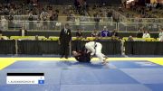 GABRIEL EDUARDO ALBANES vs IGOR ALEXANDROVICH VOROBEYCHIK 2024 Pan Jiu Jitsu IBJJF Championship