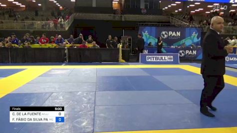 CHRISTIAN DE LA FUENTE vs FERNANDO FÁBIO DA SILVA PAIVA 2024 Pan Jiu Jitsu IBJJF Championship