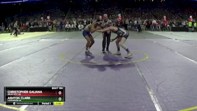 D3-120 lbs Quarterfinal - Christopher Galiana, Imlay City HS vs Ashton Clark, Lakewood HS