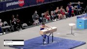 Cameron Lee - Pommel Horse, WOGA - 2021 US Championships