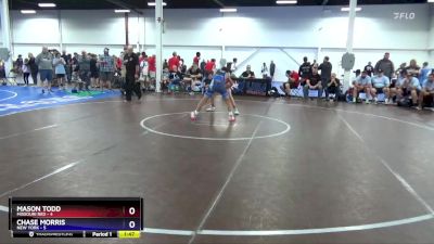 110 lbs Semis & 3rd Wb (16 Team) - Mason Todd, Missouri Red vs Chase Morris, New York