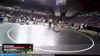 71 lbs Round 2 (10 Team) - Ayden Osborne, Bear Cave Wrestling Club vs Nester Pino, Colorado Regulators Wrestling Club
