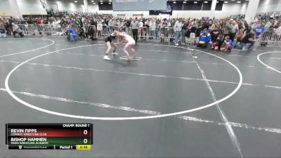 102 lbs Champ. Round 1 - Bishop Hammen, Moen Wrestling Academy vs Revin Fipps, Cowboy Wrestling Club