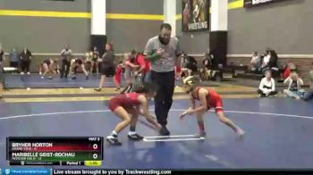 65 lbs Round 3 (12 Team) - Maribelle Geist-rochau, Missouri Gold vs Bryher Horton, Grand View