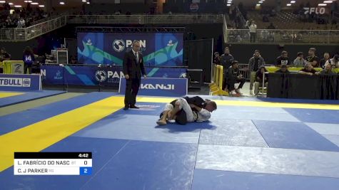 LEANDRO FABRÍCIO DO NASCIMENTO vs CHRISTOPHER J PARKER 2024 Pan Jiu Jitsu IBJJF Championship