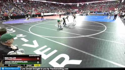 D3-106 lbs Quarterfinal - Aidan Gruenenfelder, Pecatonica/Argyle vs Ben Miller, Wittenberg-Birnamwood