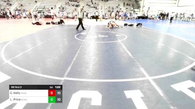 138 lbs Rr Rnd 3 - Colton Kelly, PANE vs Layne Price, Buffalo Valley Blue