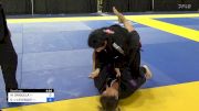 MARIANELA GRIGUELA vs DESIREE LUSSIER-LEVESQUE 2024 Pan Jiu Jitsu IBJJF Championship