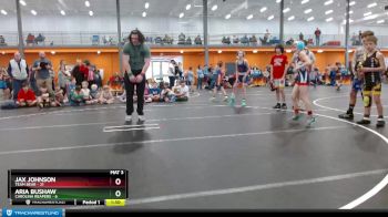 65 lbs Round 3 (4 Team) - Jax Johnson, Team Bear vs Aria Bushaw, Carolina Reapers