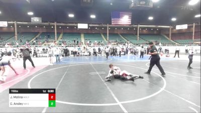 116 lbs Consolation - Joseph Molina, Wolfpack Wrestling Academy vs Canin Ansley, NM Gold