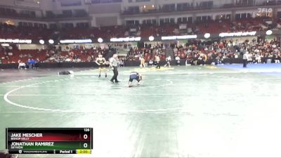 126 lbs Quarterfinal - Jonathan Ramirez, Skyview vs Jake Mescher, Bishop Kelly