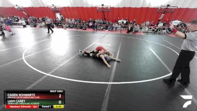 97 lbs Semifinal - Liam Carey, Sarbacker Wrestling Academy vs Caden Schwartz, Oregon Youth Wrestling Club