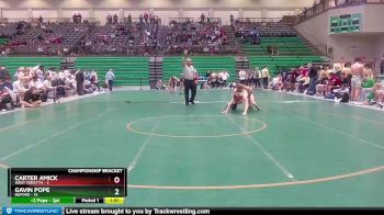 144 lbs Semis & 1st Wb (8 Team) - Carter Amick, West Forsyth vs Gavin Pope, Buford