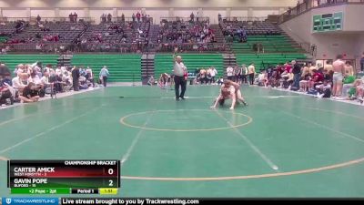 144 lbs Semis & 1st Wb (8 Team) - Carter Amick, West Forsyth vs Gavin Pope, Buford