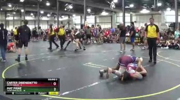 100 lbs Round 3 (6 Team) - Carter Dibenedetto, Death Squad vs Mat Prine, Team Iowa Blue