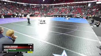 D1-126 lbs Cons. Round 1 - Noah Moltzan, Hudson vs Carter Freeman, Wisconsin Rapids Lincoln