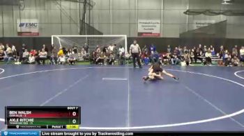 95 lbs Round 3 (6 Team) - Axle Ritchie, Tennessee Red vs Ben Walsh, Iowa Blue