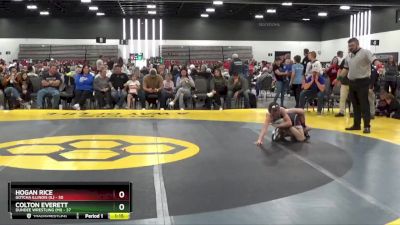 80 lbs Placement Matches (8 Team) - Hogan Rice, Gotcha Illinois (IL) vs Colton Everett, Dundee Wrestling (MI)