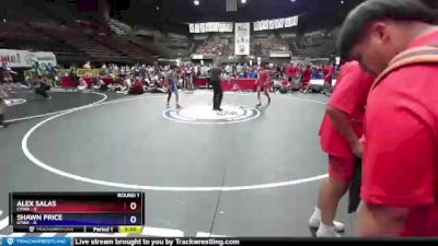 100 lbs Round 1 (16 Team) - Alex Salas, CVWA vs Shawn Price, KTWA