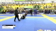 MARCELO MERLINI vs MARCOS ANTONIO ARNALDO 2024 Brasileiro Jiu-Jitsu IBJJF