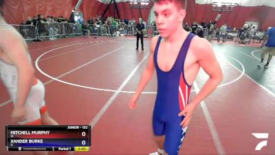 132 lbs Cons. Round 1 - Mitchell Murphy, IA vs Xander Burke, IL