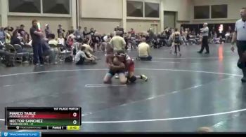 125 lbs Finals (2 Team) - Hector Sanchez, Tennessee Red vs Marco Tagle, Missouri Black