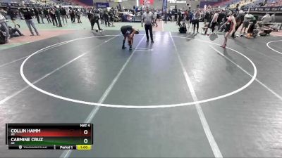 125 lbs Semifinal - Collin Hamm, WI vs Carmine Cruz, AZ