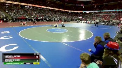 D3-150 lbs Quarterfinal - Mitchell McGee, Glenwood City vs Stone Pomeroy, Random Lake