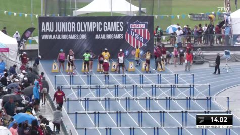 Youth Men's 110m Hurdles Championship, Semi-Finals 11 - Age 17-18