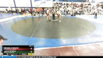 184 lbs Cons. Round 3 - Jarvis Echols, Bryant & Stratton vs Michael D`Orazio, University Of Chicago